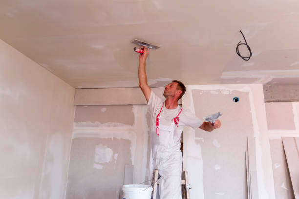 Best Drywall Installation  in USA